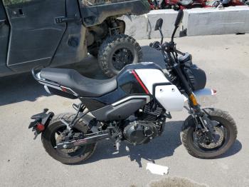  Salvage Cf Moto Papio Cl