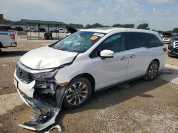  Salvage Honda Odyssey