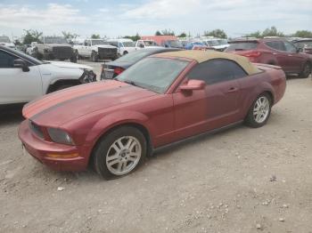  Salvage Ford Mustang