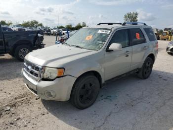  Salvage Ford Escape