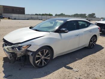  Salvage Nissan Maxima