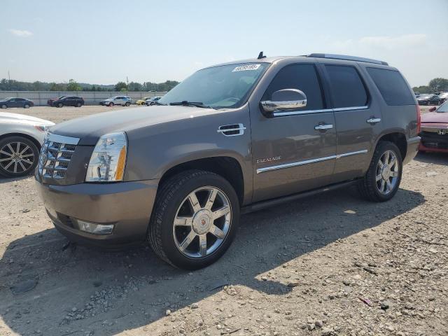  Salvage Cadillac Escalade