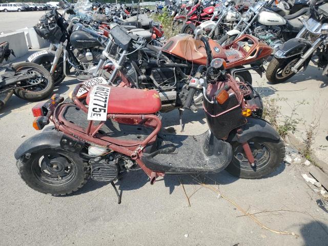  Salvage Honda Ruckus
