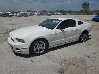  Salvage Ford Mustang