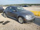 Volkswagen Beetle Image 4