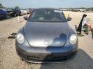 Volkswagen Beetle Image 7