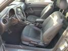 Volkswagen Beetle Image 11