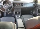 Volkswagen Beetle Image 6