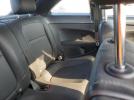 Volkswagen Beetle Image 12