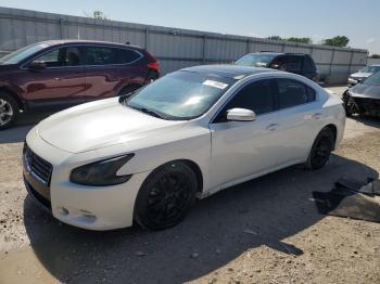  Salvage Nissan Maxima