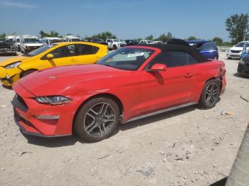  Salvage Ford Mustang