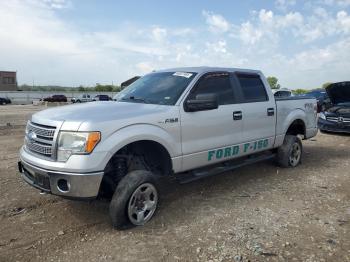  Salvage Ford F-150