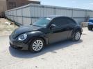 Volkswagen Beetle Image 1