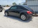 Volkswagen Beetle Image 8