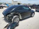 Volkswagen Beetle Image 3