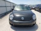 Volkswagen Beetle Image 2