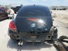 Volkswagen Beetle Image 10