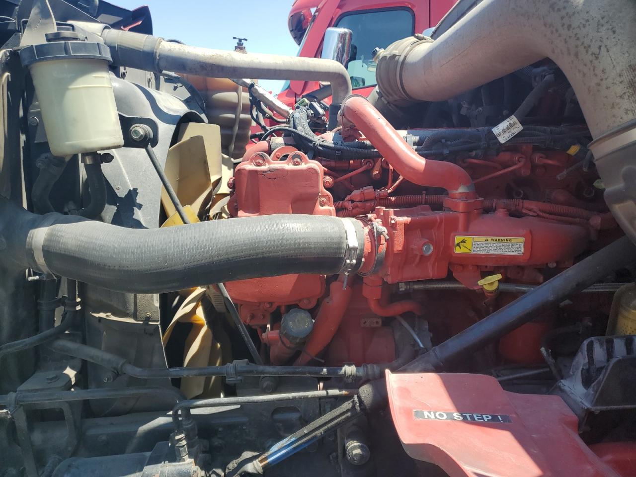 International Lonestar Image 9