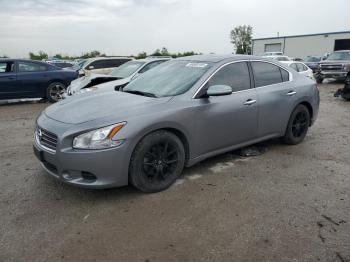  Salvage Nissan Maxima