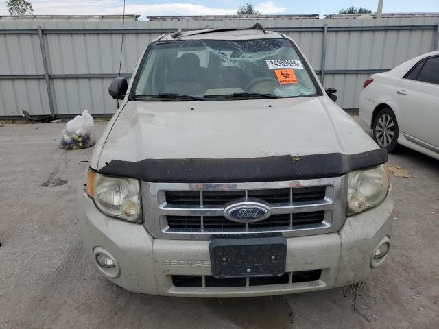 Ford Escape Xlt Image 5