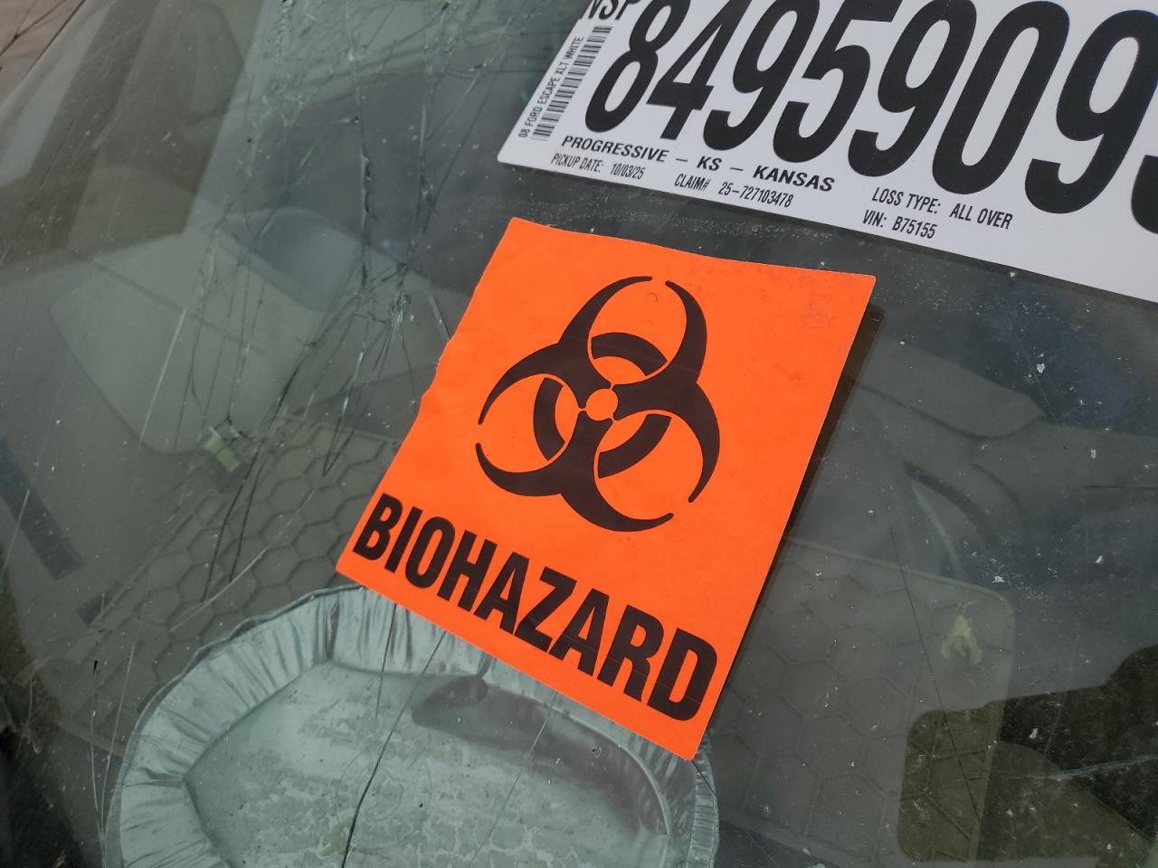 Ford Escape Xlt Image 12