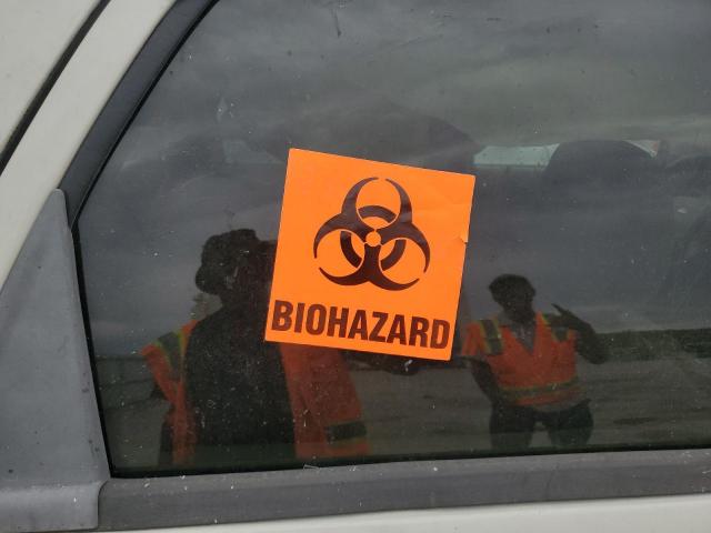 Ford Escape Xlt Image 6