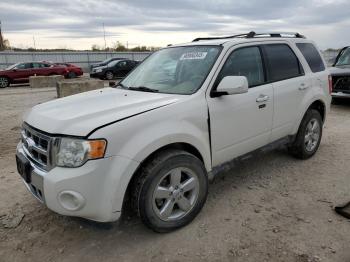  Salvage Ford Escape