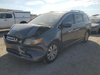  Salvage Honda Odyssey