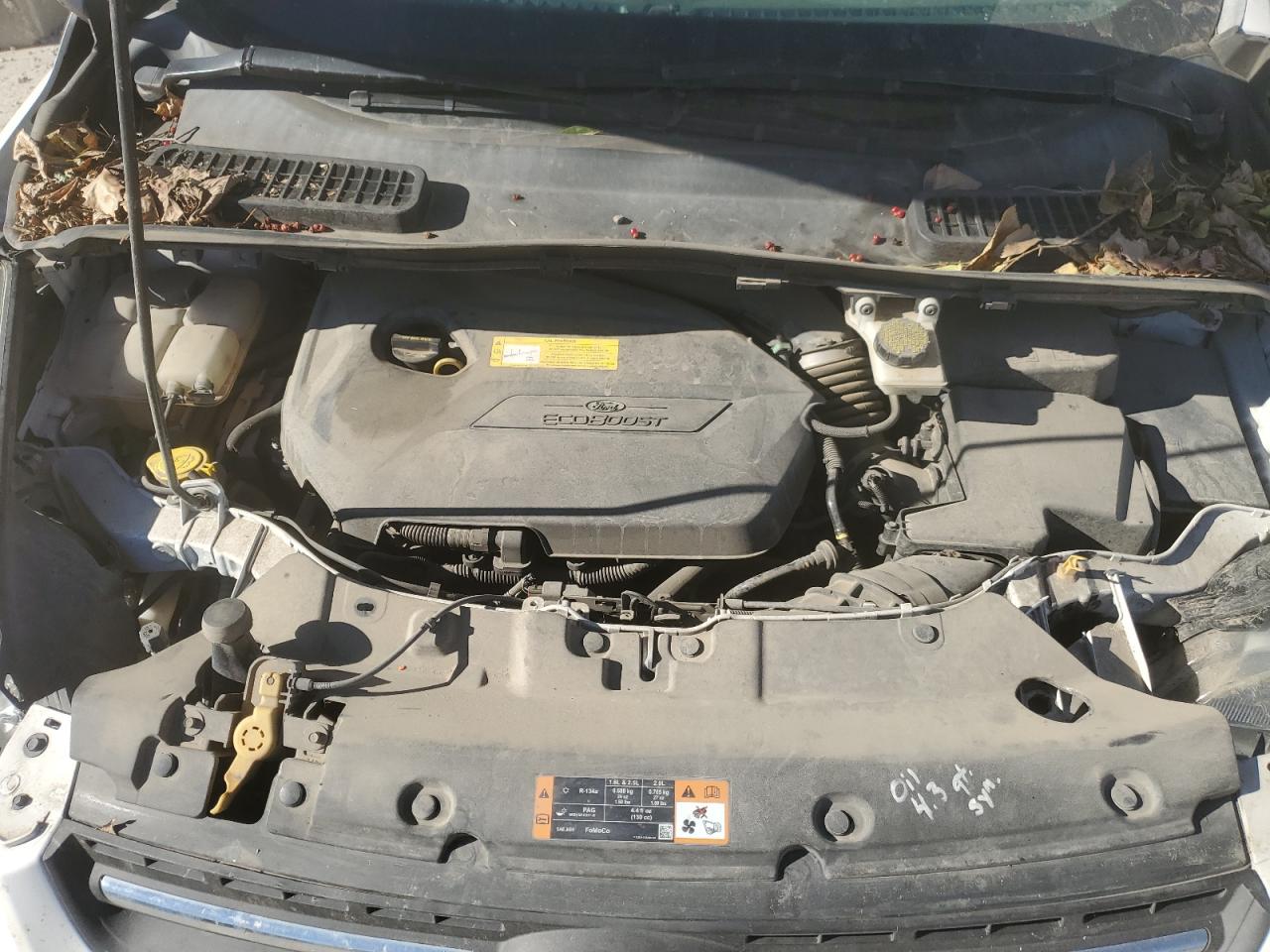 Ford Escape Se Image 7