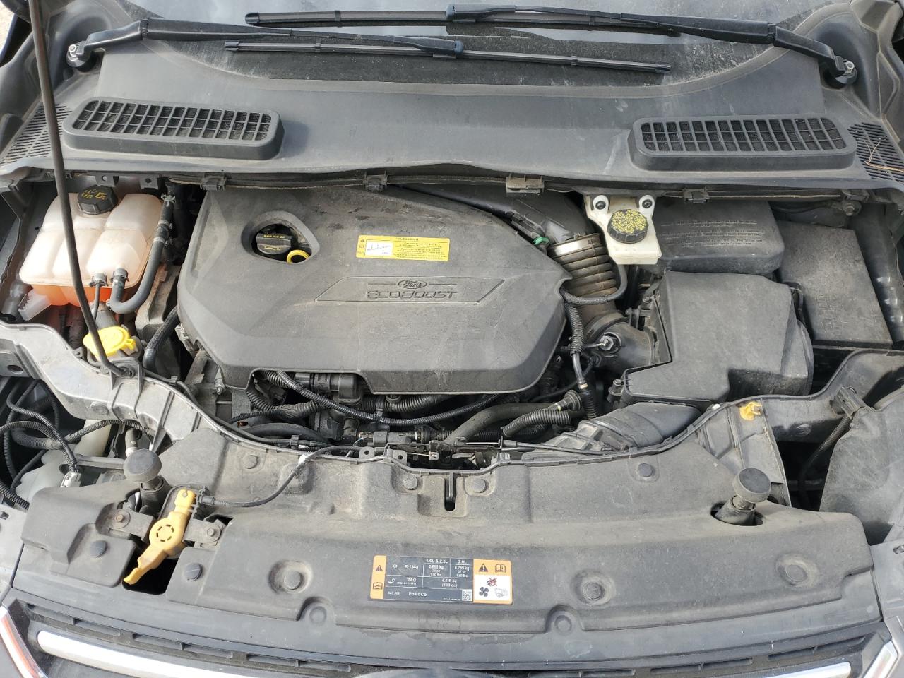 Ford Escape Titanium Image 14