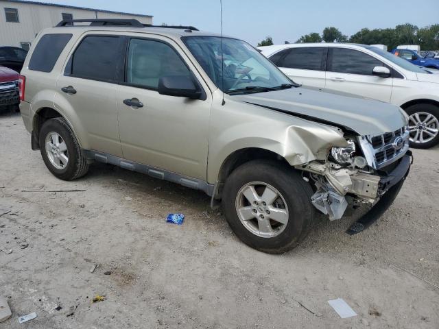 Ford Escape Xlt Image 3