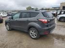 Ford Escape Sel Image 5