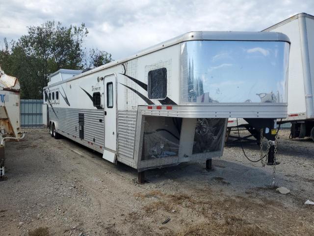  Salvage Bison Horseailer