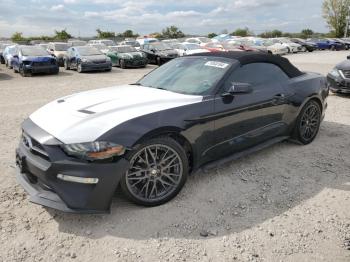  Salvage Ford Mustang