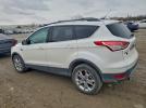 Ford Escape Sel Image 5
