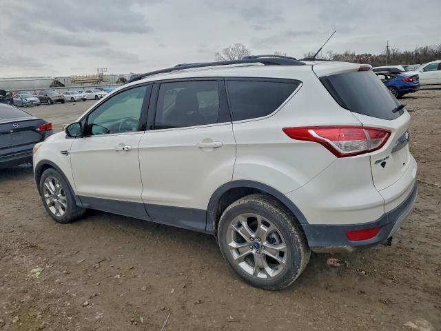 Ford Escape Sel Image 5