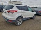 Ford Escape Sel Image 10