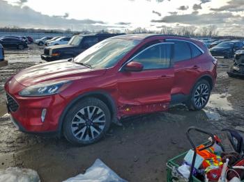  Salvage Ford Escape