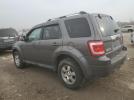 Ford Escape Limited Image 6