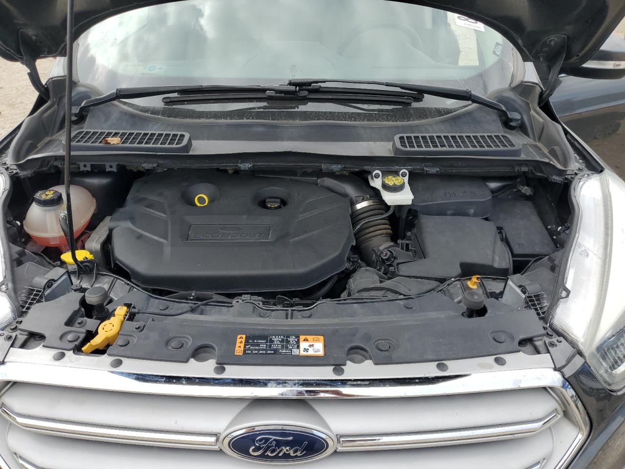 Ford Escape Titanium Image 10