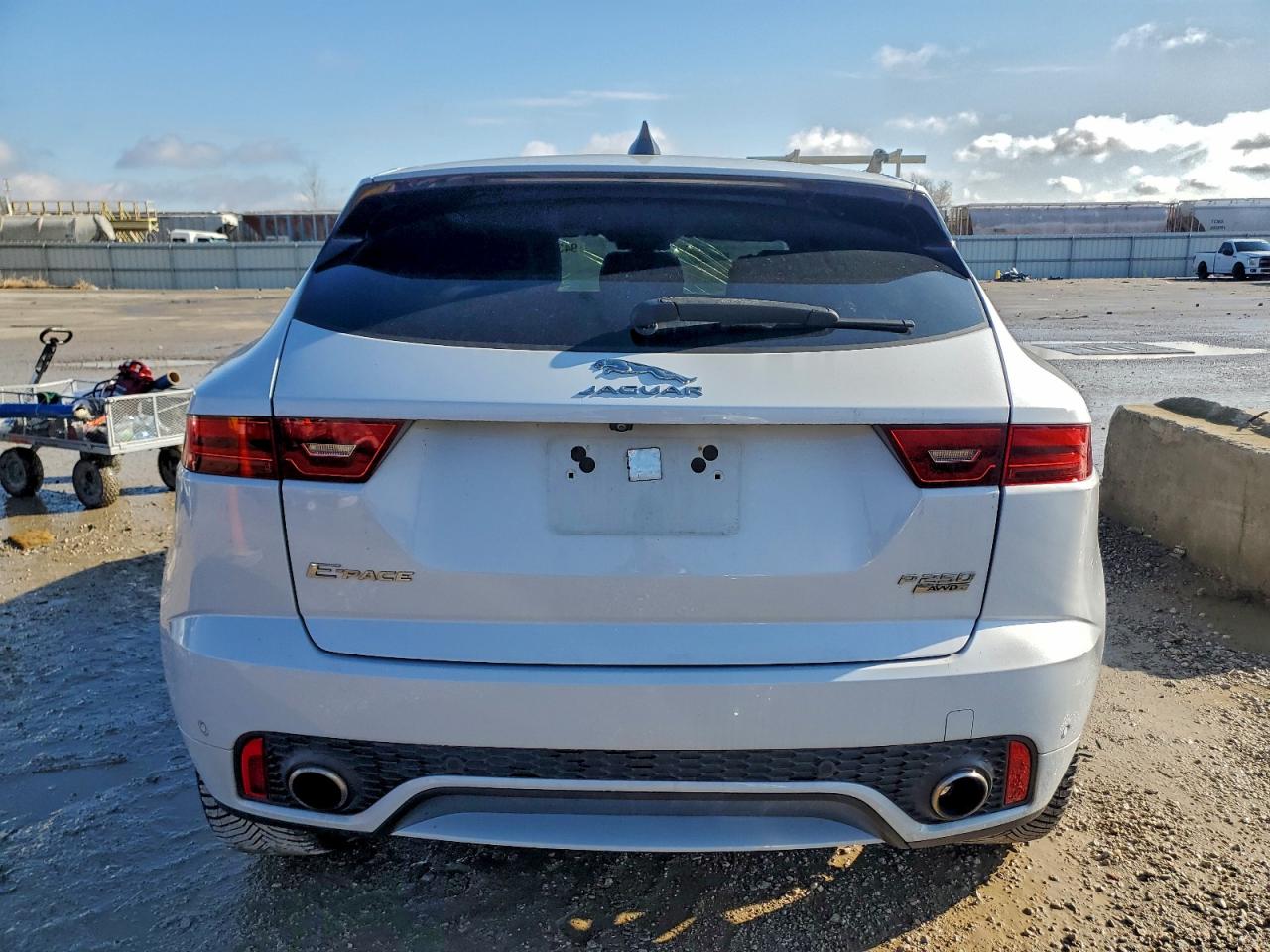 Jaguar Etype Checkered Flag Image 4