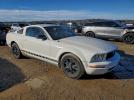 Ford Mustang Image 4
