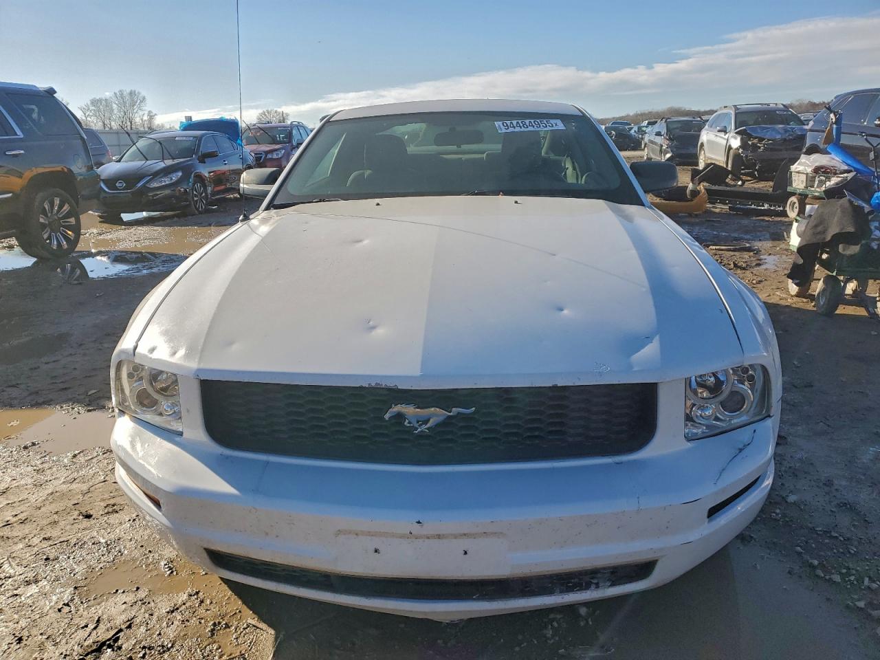 Ford Mustang Image 12