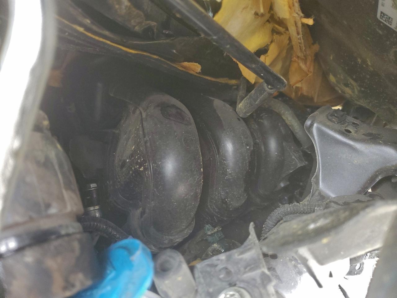 Honda Fit Ex Image 6