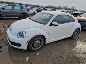 Salvage Volkswagen Beetle