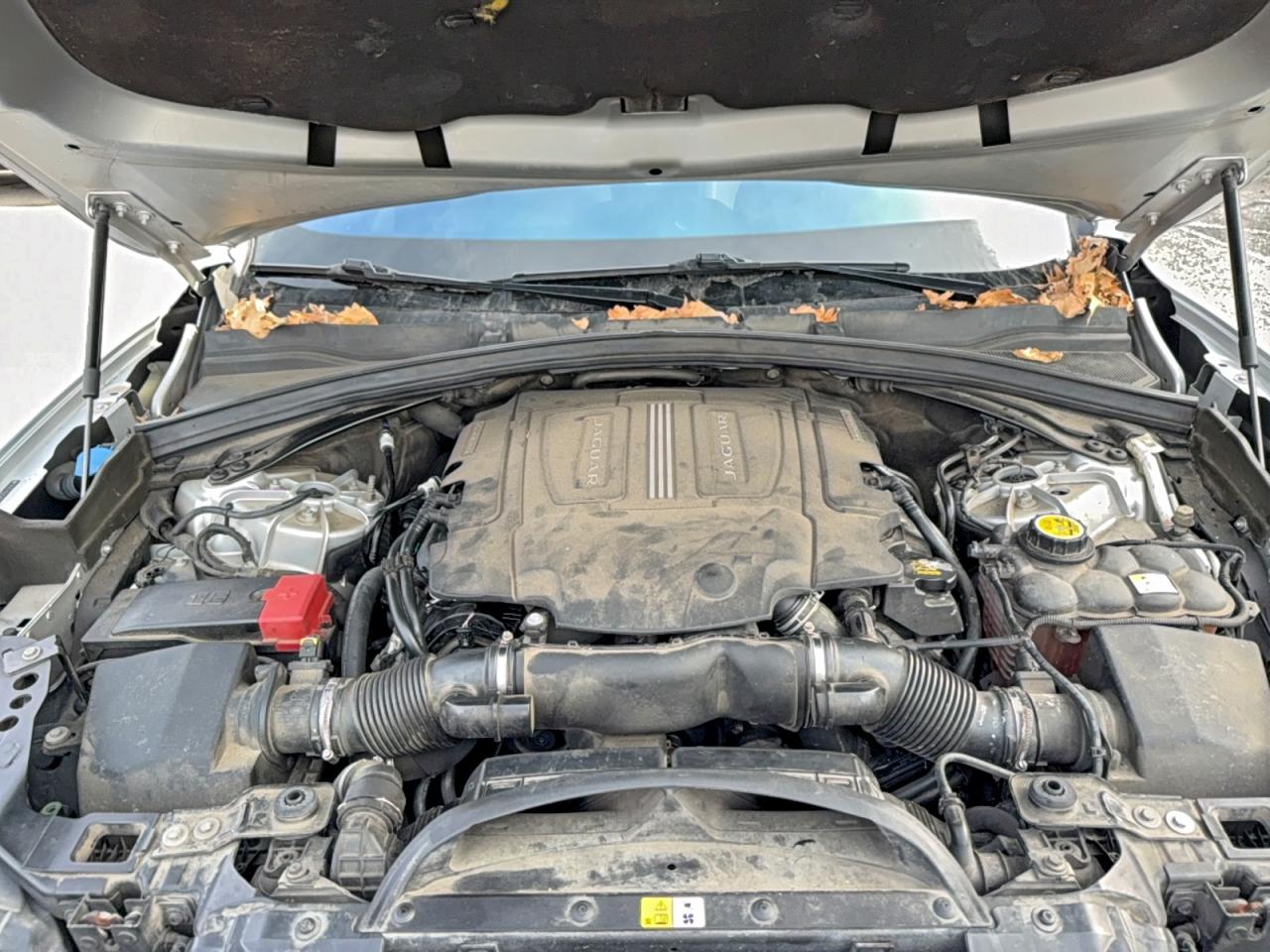 Jaguar F-PACE First Edition Image 10