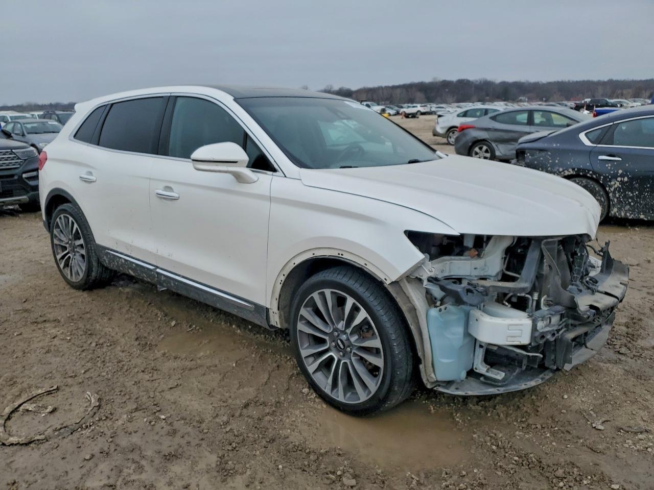 Lincoln MKX Reserve Image 3