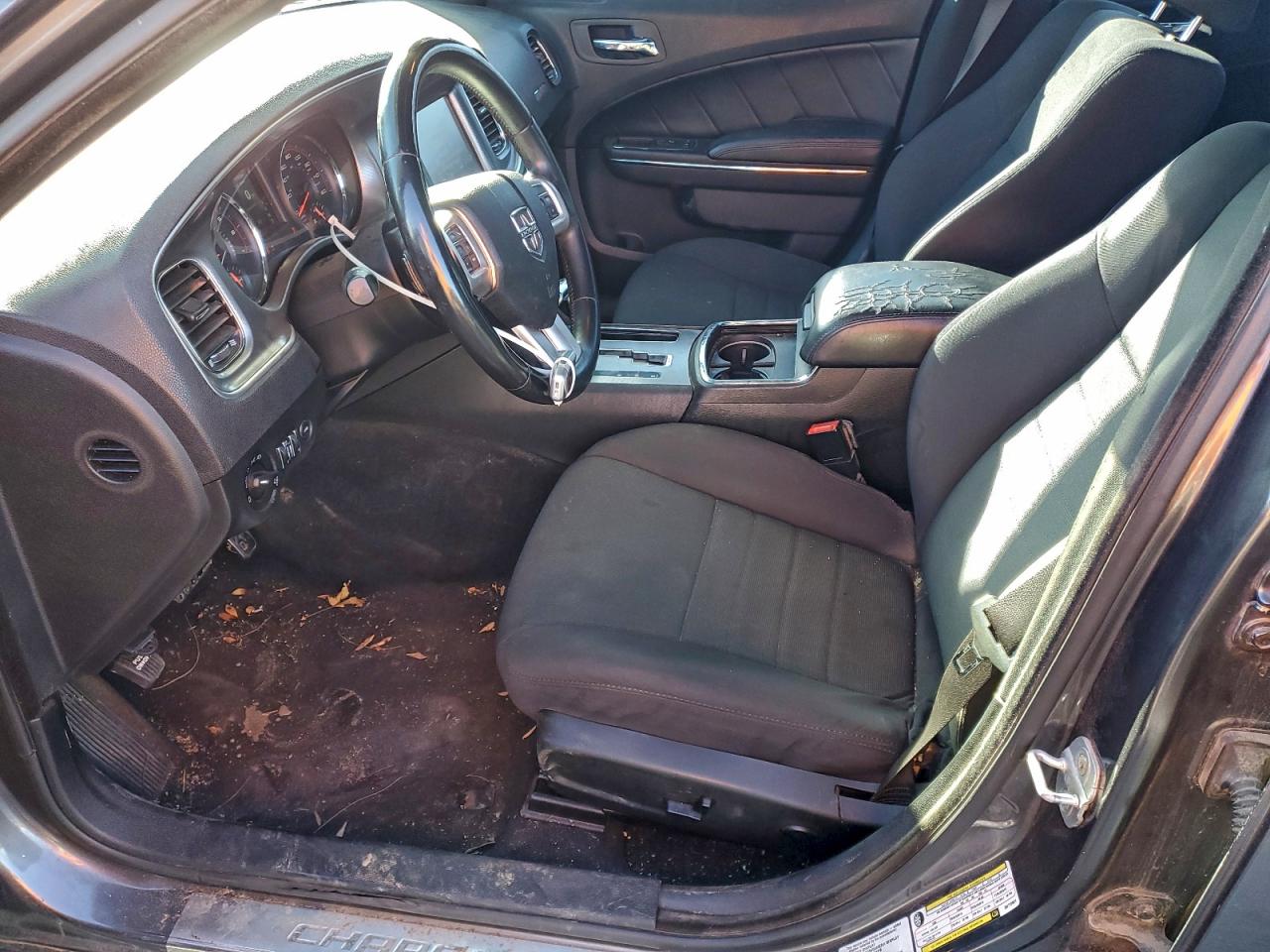 Dodge Charger R/t Image 7