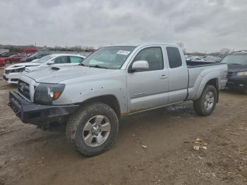 2006 Toyota Tacoma 5TEUU42N36Z******