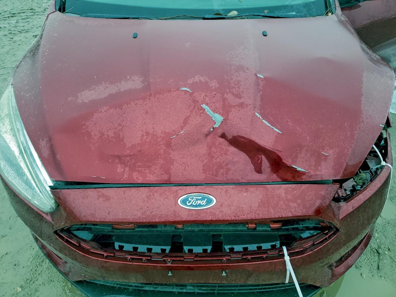 Ford Focus Se Image 12